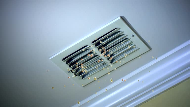 HVAC System Cleaning in Kemp Mill, MD